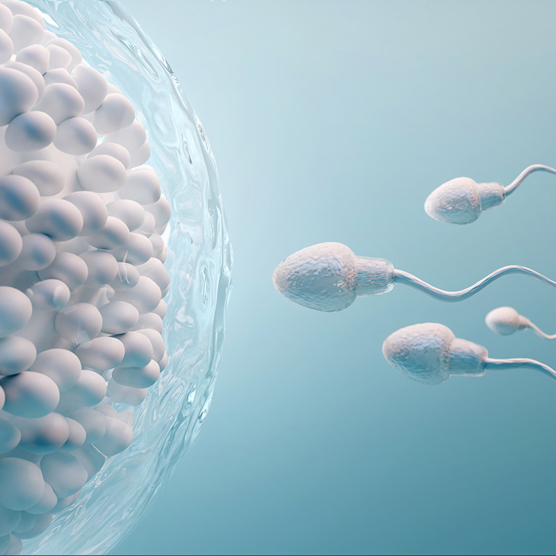 Erkek Kaynaklı İnfertilite Tedavisi